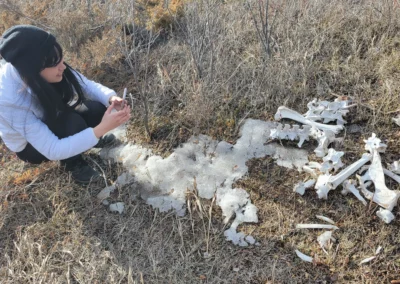 Bones in Banff